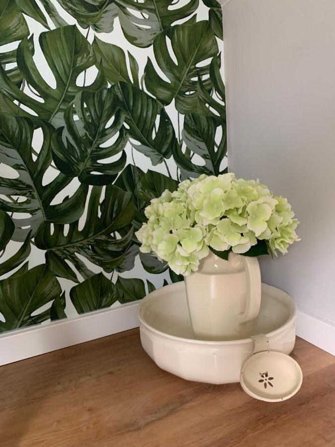 Sascha'S Home سارلويس المظهر الخارجي الصورة