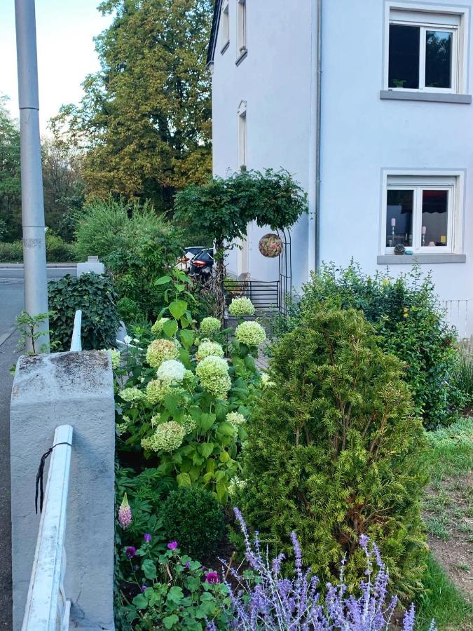 Sascha'S Home سارلويس المظهر الخارجي الصورة
